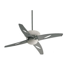 Ceiling Fans