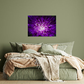 Purple and White Abstract Flower Floral Nature Photograph Wall Art Prints