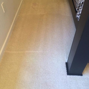 Before and After Carpet Cleaning
