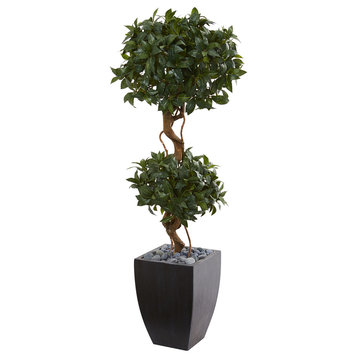 4.5' Sweet Bay Artificial Double Topiary Tree, Black Wash Planter