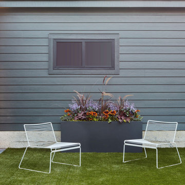 Logan Square Backyard Patio, Pergola & Outdoor Kitchen