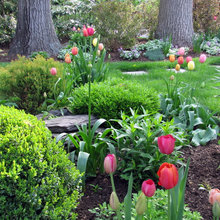 Garden Beds