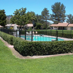 Iron Fencing - Products