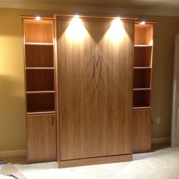 Murphy Bed with Lighting