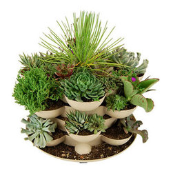 Sand Colored Stack & Grow Planter with Cactus - Outdoor Pots And Planters