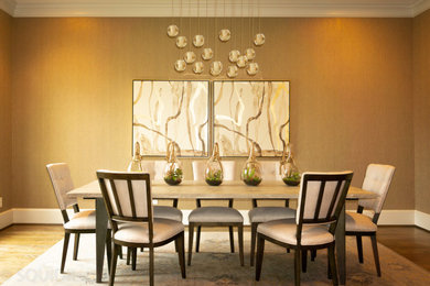 Inspiration for a contemporary dining room remodel in Houston