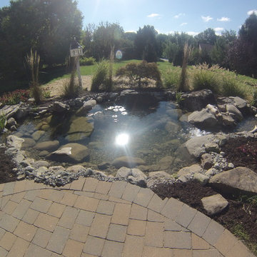 Fish Pond Rebuild