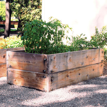 Vegetable + Herb Garden