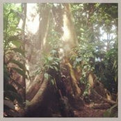 Gabriel Bolaños's photo