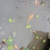 Kerrie Gelder's photo