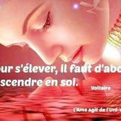 Fab Acta Est's photo