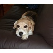 Kate Miller's photo