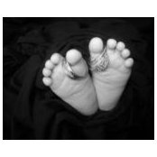 Lisa Hulsey's photo