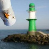 Foto di Ofelia Watts