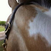 Amy Beller's photo