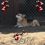 Terry Clarkson's photo