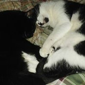 Wendy Duell's photo