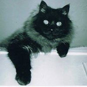 Deb Lanteigne's photo