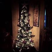 Casey Pedersen's photo