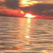 Donna Raap's photo
