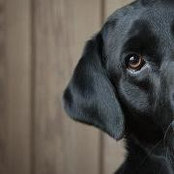 Paul Gund's photo