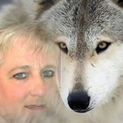Lynn Ray's photo