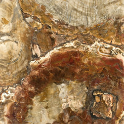 Petrified Wood&trade; 8330 - Products