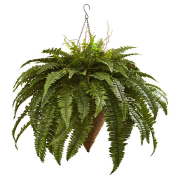 26" Giant Boston Fern With Cone Hanging Basket, Green