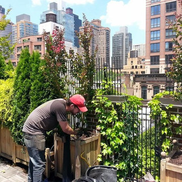 Rooftop garden designers NY