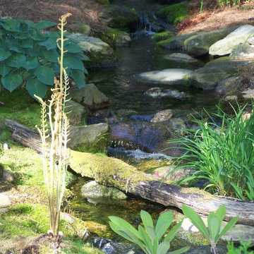 Lost Trail Landscape Design, Build, with Water Feature (Fountain/Pond)
