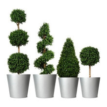 Artificial Plants