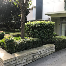 Western Courtyard