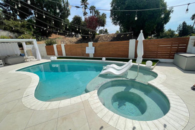 Pool & Back yard remodel
