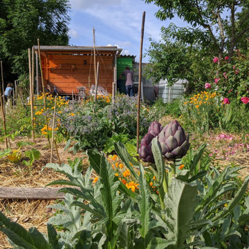 Potager en Permaculture