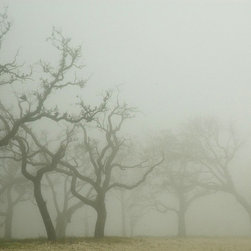Landscapes - Artwork