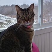 Craig Tickle's photo