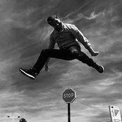 Julien Hamel's photo