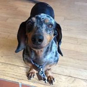 Lynn Socolich's photo