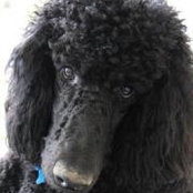 Kerri Ward's photo