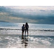Steve Senn's photo