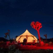 Patty Ruh's photo