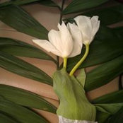 Photo de Emma Montgomery