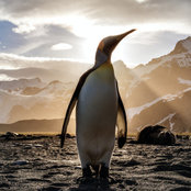 Joshua Hoskins's photo