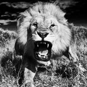Bobby Calabrese's photo