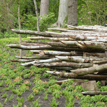 pilehegn