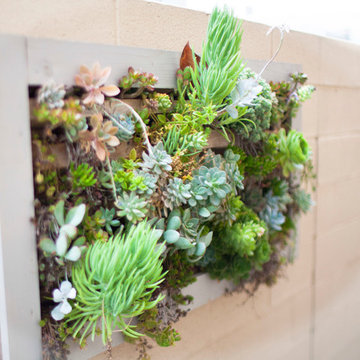 Vertical Garden of Succulents