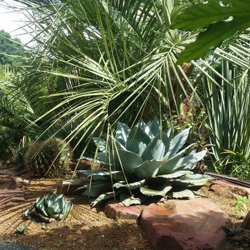 jardin exotique