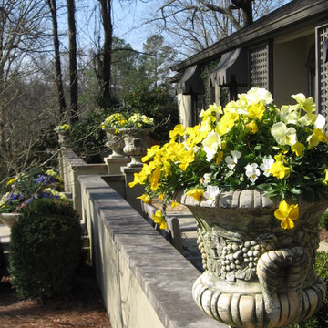 Fall Flowers