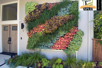 This is an example of a small contemporary drought-tolerant and partial sun front yard concrete paver landscaping in San Francisco for spring.