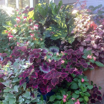 Summer shade pots